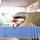 Illustration for article titled I Want Its Plumage, I Want Its Suspense, My Game of the Year Could Be a Bird Romance